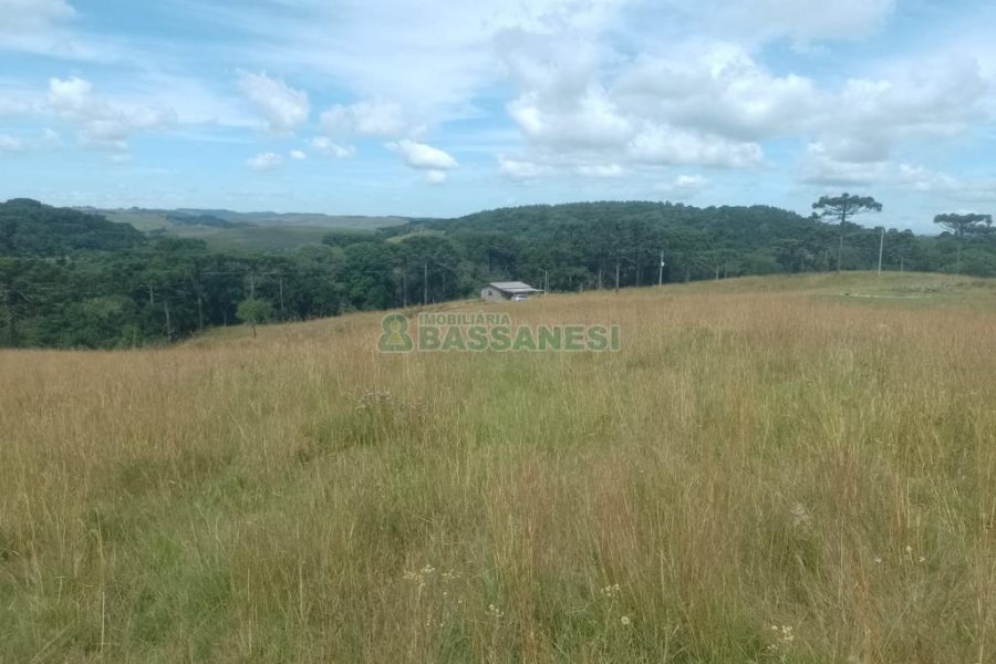 Chácara, no bairro Vila Seca em Caxias do Sul para Comprar