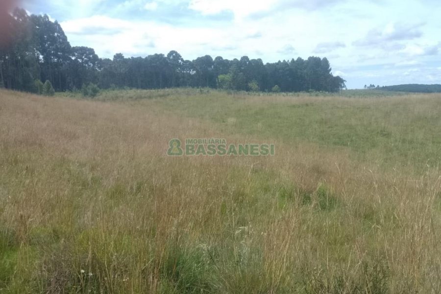 Chácara, no bairro Vila Seca em Caxias do Sul para Comprar