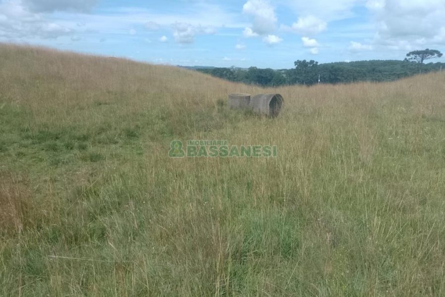 Chácara, no bairro Vila Seca em Caxias do Sul para Comprar