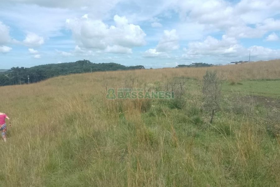 Chácara, no bairro Vila Seca em Caxias do Sul para Comprar