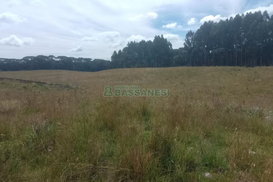 Chácara, no bairro Vila Seca em Caxias do Sul para Comprar