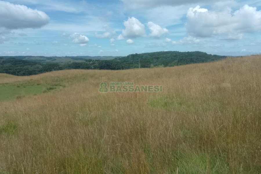 Chácara, no bairro Vila Seca em Caxias do Sul para Comprar