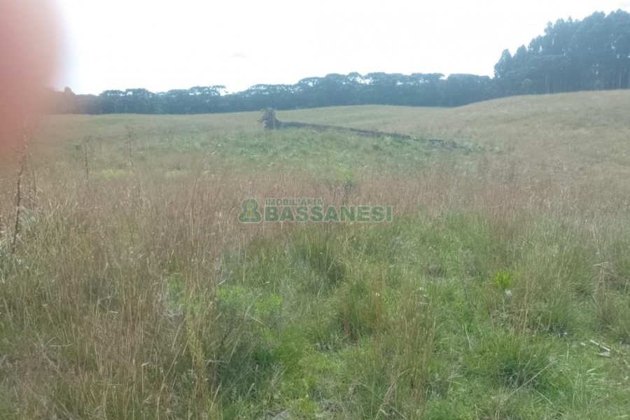 Chácara, no bairro Vila Seca em Caxias do Sul para Comprar