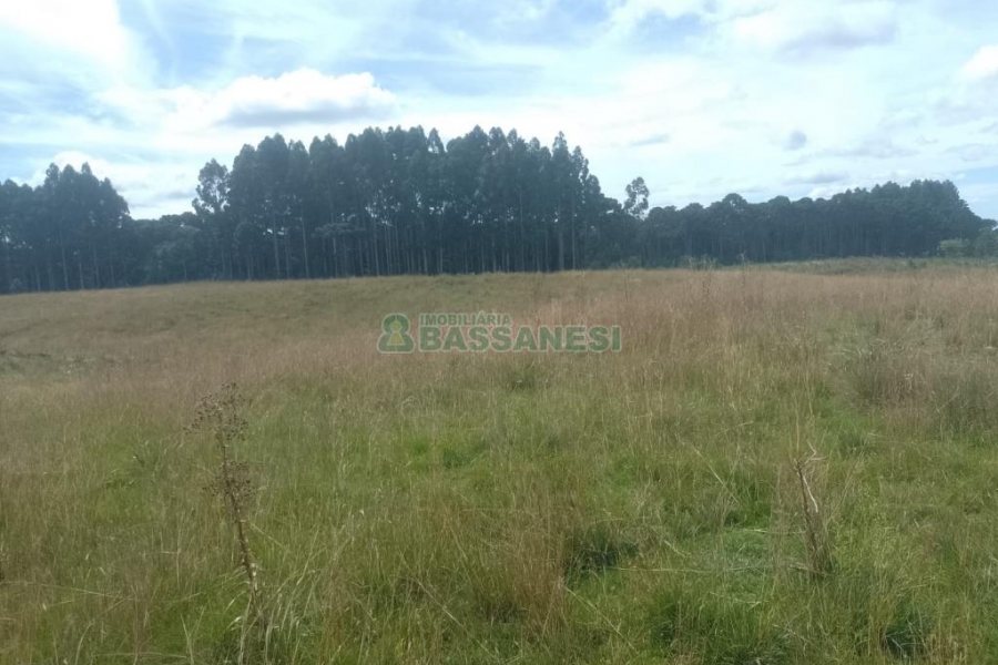 Chácara, no bairro Vila Seca em Caxias do Sul para Comprar
