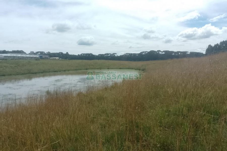 Chácara, no bairro Vila Seca em Caxias do Sul para Comprar