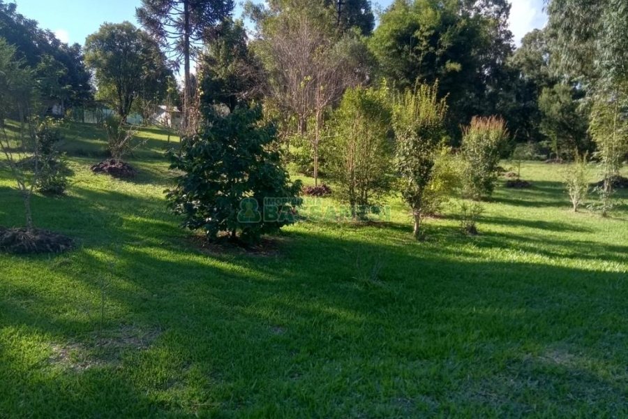 Chácara com 99m², 3 dormitórios, no bairro Apanhador em Caxias do Sul para Comprar