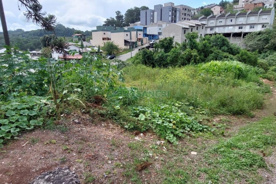 Terreno com 360m², no bairro Nossa Senhora das Graças em Caxias do Sul para Comprar