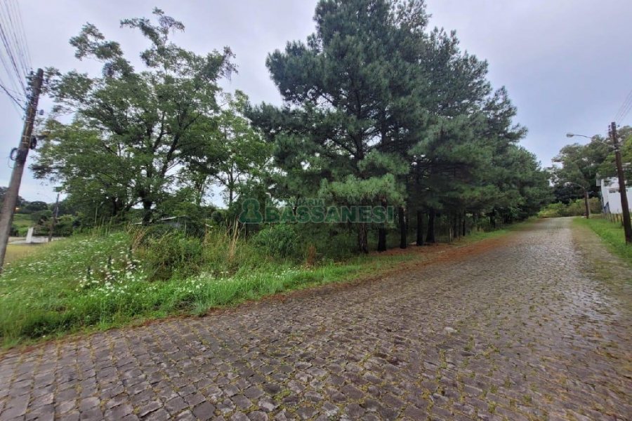 Terreno com 746m², no bairro Colina Sorriso em Caxias do Sul para Alugar ou Comprar