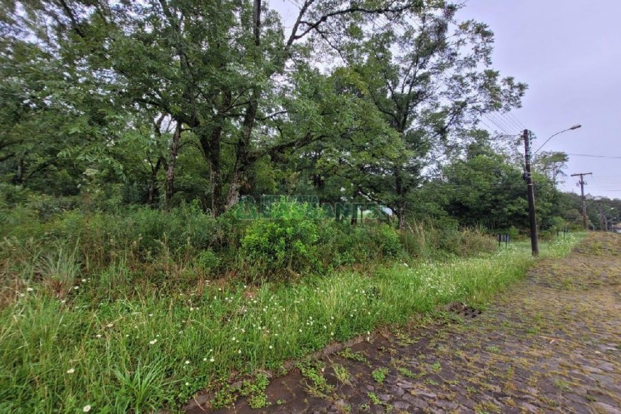Terreno com 746m², no bairro Colina Sorriso em Caxias do Sul para Alugar ou Comprar