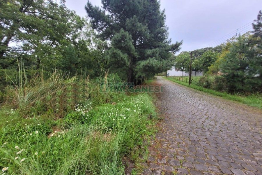 Terreno com 746m², no bairro Colina Sorriso em Caxias do Sul para Alugar ou Comprar