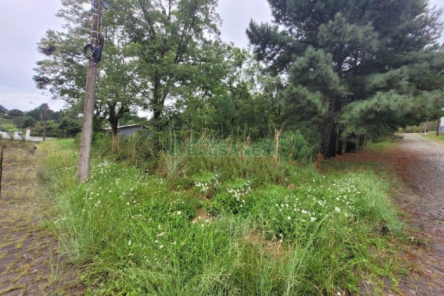 Terreno com 746m², no bairro Colina Sorriso em Caxias do Sul para Alugar ou Comprar