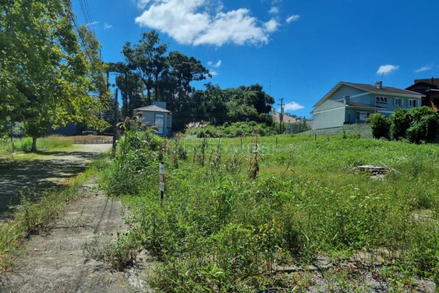 Terreno com 1080m², no bairro Nossa Senhora de Lourdes em Caxias do Sul para Comprar