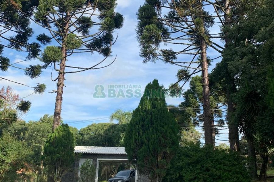 Chácara com 218m², 3 dormitórios, no bairro Pedancino em Caxias do Sul para Comprar