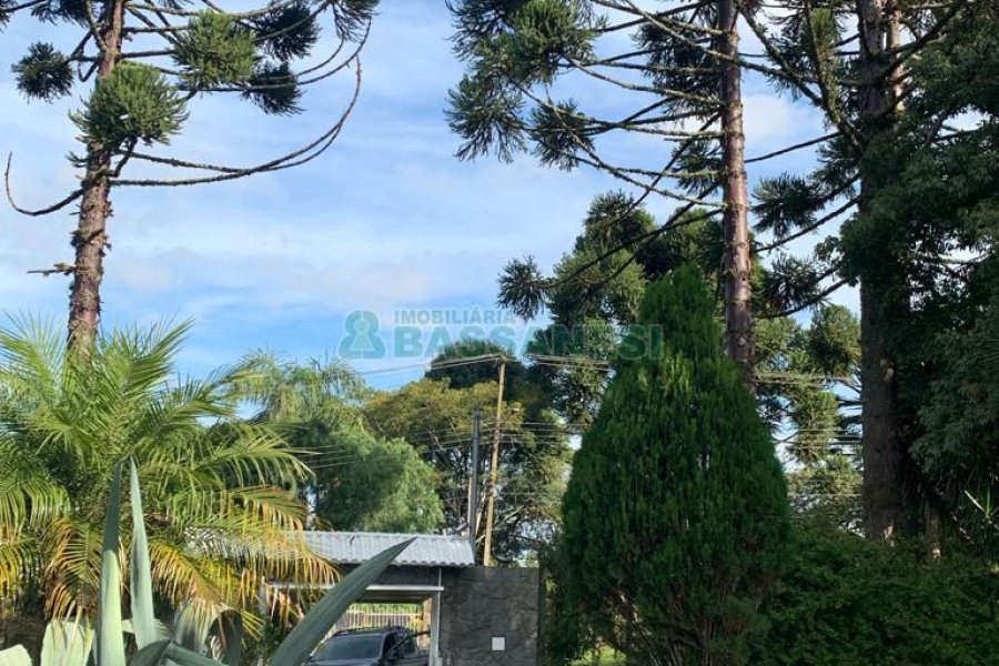 Chácara com 218m², 3 dormitórios, no bairro Pedancino em Caxias do Sul para Comprar