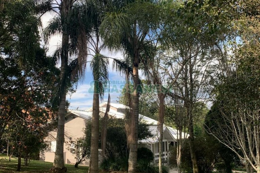 Chácara com 218m², 3 dormitórios, no bairro Pedancino em Caxias do Sul para Comprar