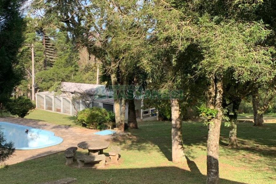 Chácara com 218m², 3 dormitórios, no bairro Pedancino em Caxias do Sul para Comprar
