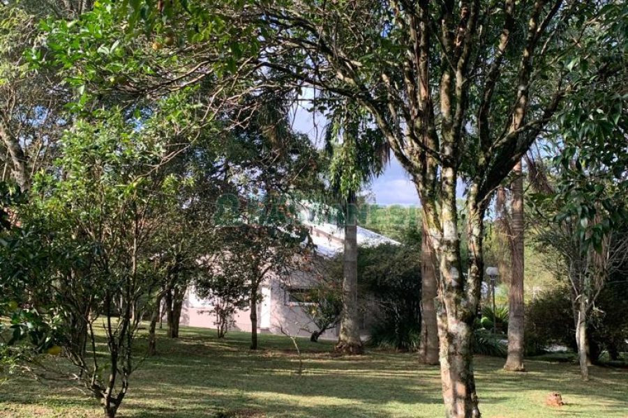 Chácara com 218m², 3 dormitórios, no bairro Pedancino em Caxias do Sul para Comprar