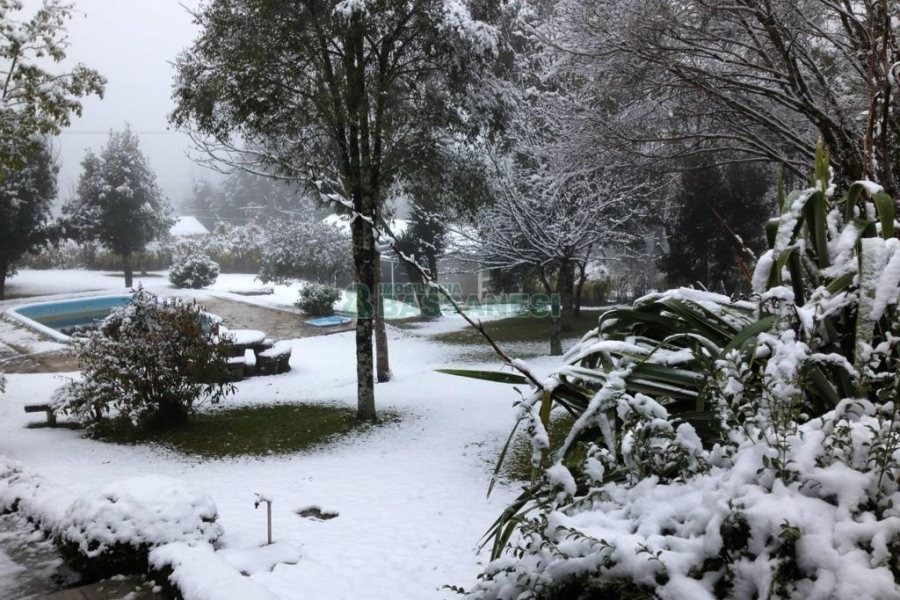 Chácara com 218m², 3 dormitórios, no bairro Pedancino em Caxias do Sul para Comprar