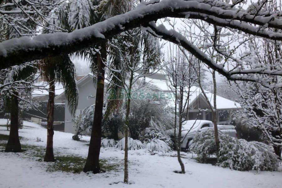 Chácara com 218m², 3 dormitórios, no bairro Pedancino em Caxias do Sul para Comprar