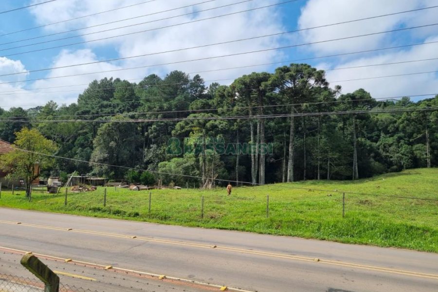 Chácara, no bairro Samuara em Caxias do Sul para Comprar