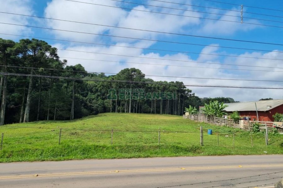 Chácara, no bairro Samuara em Caxias do Sul para Comprar