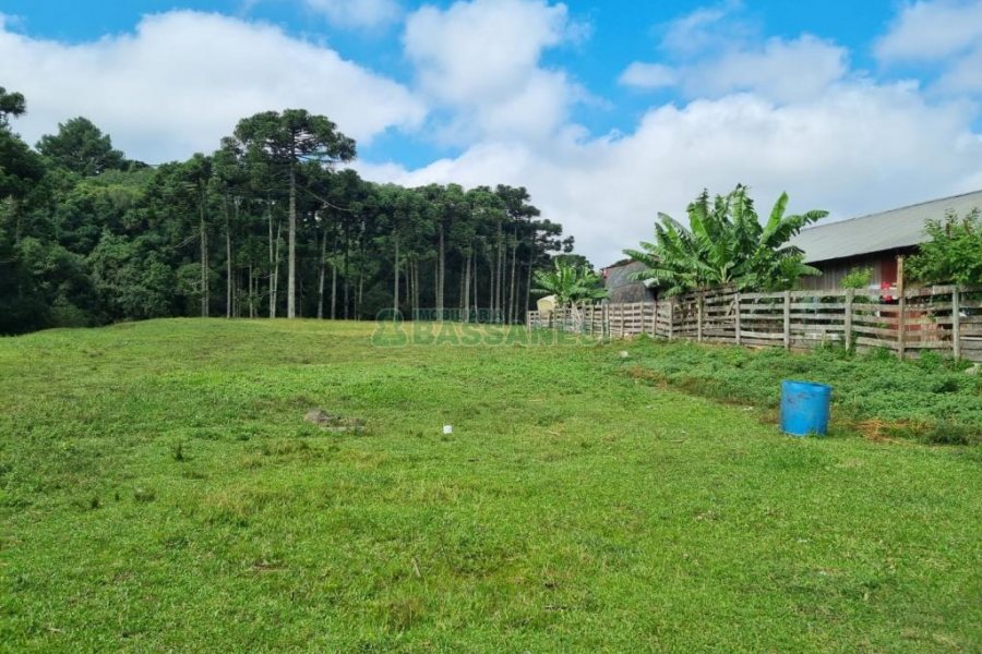 Chácara, no bairro Samuara em Caxias do Sul para Comprar