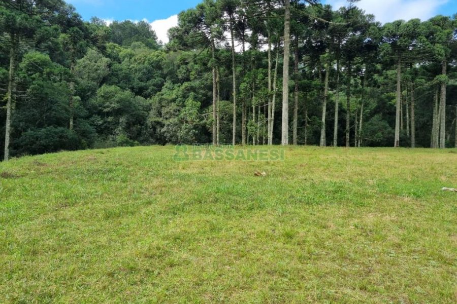 Chácara, no bairro Samuara em Caxias do Sul para Comprar