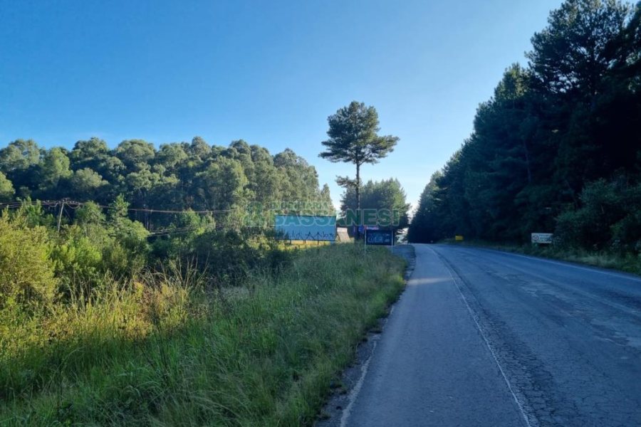 Chácara, no bairro Ana Rech em Caxias do Sul para Comprar