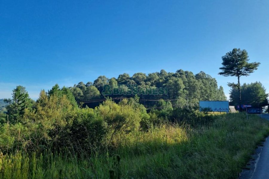 Chácara, no bairro Ana Rech em Caxias do Sul para Comprar