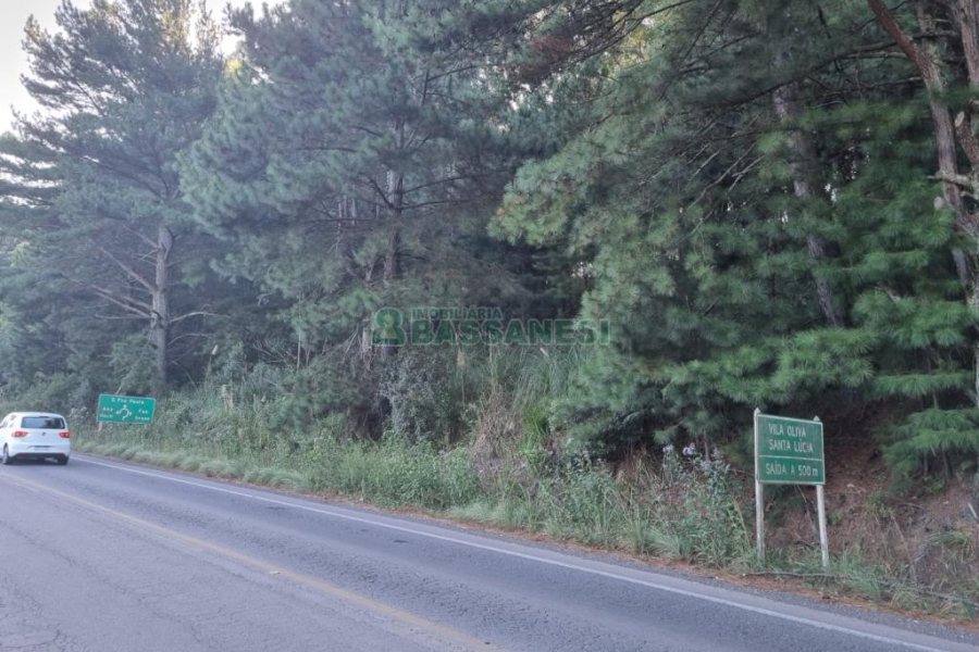 Chácara, no bairro Ana Rech em Caxias do Sul para Comprar
