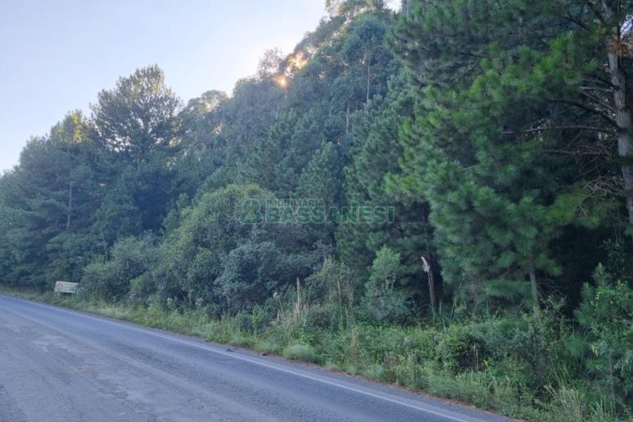 Chácara, no bairro Ana Rech em Caxias do Sul para Comprar