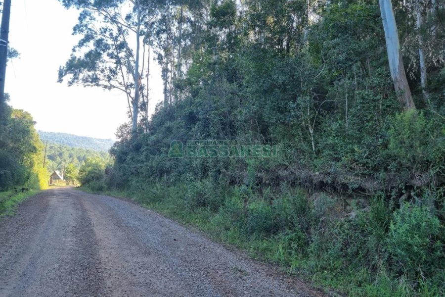 Chácara, no bairro Ana Rech em Caxias do Sul para Comprar