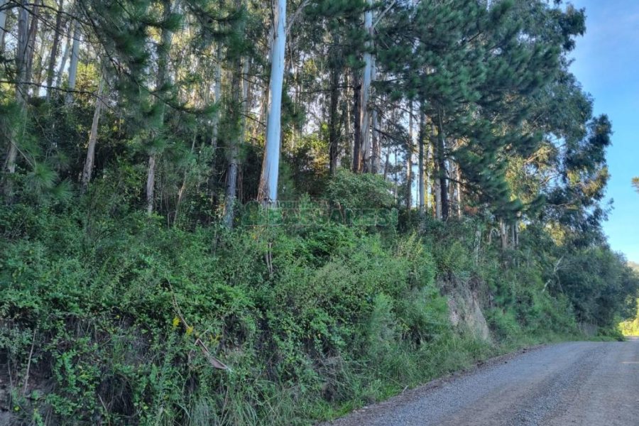 Chácara, no bairro Ana Rech em Caxias do Sul para Comprar
