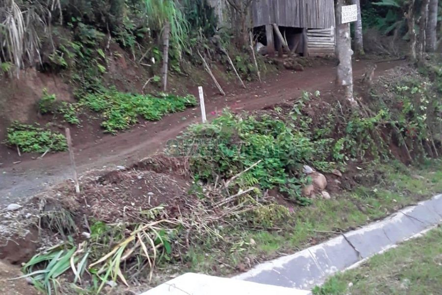 Chácara, 2 dormitórios, no bairro Interior em Caxias do Sul para Comprar