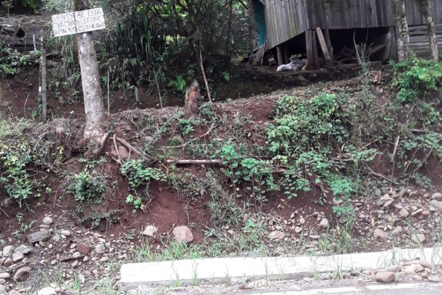Chácara, 2 dormitórios, no bairro Interior em Caxias do Sul para Comprar