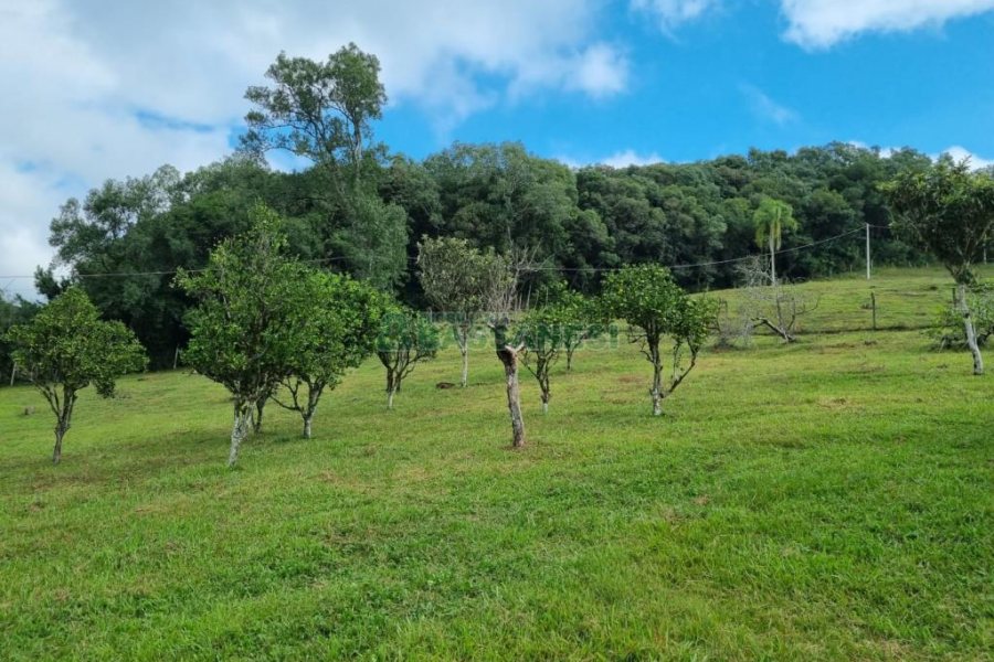 Chácara, no bairro São Giácomo em Caxias do Sul para Comprar