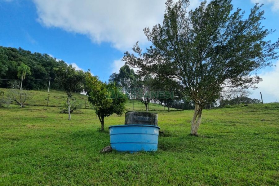 Chácara, no bairro São Giácomo em Caxias do Sul para Comprar