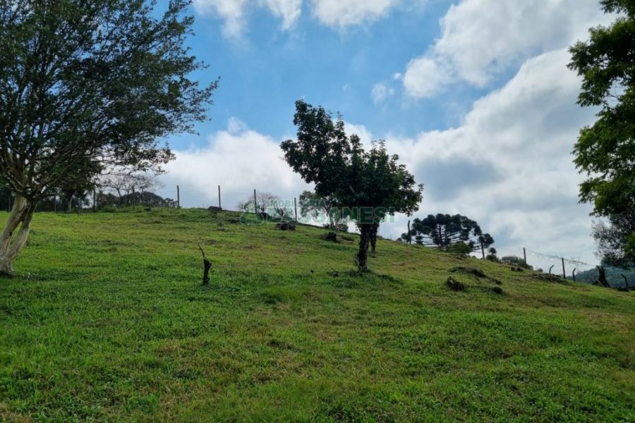 Chácara, no bairro São Giácomo em Caxias do Sul para Comprar