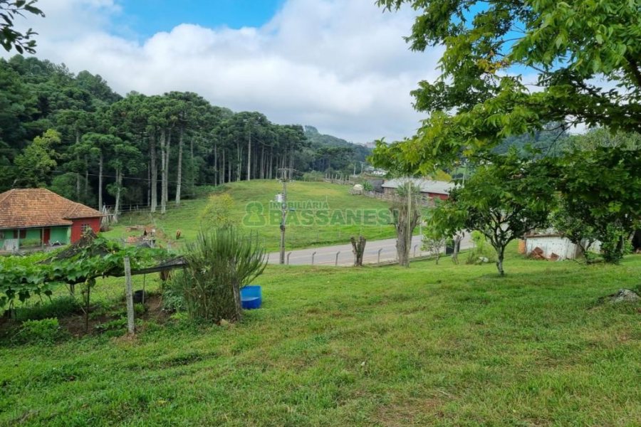 Chácara, no bairro São Giácomo em Caxias do Sul para Comprar