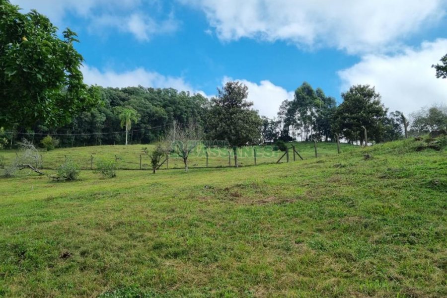 Chácara, no bairro São Giácomo em Caxias do Sul para Comprar