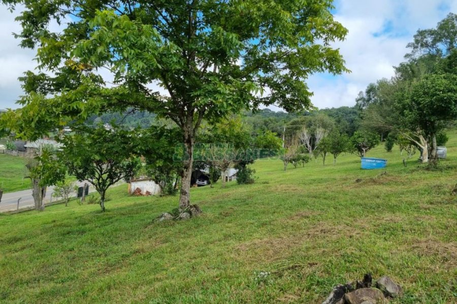 Chácara, no bairro São Giácomo em Caxias do Sul para Comprar