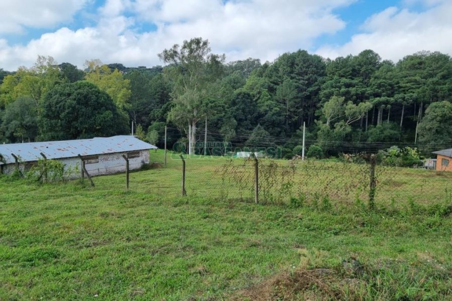 Chácara, no bairro São Giácomo em Caxias do Sul para Comprar