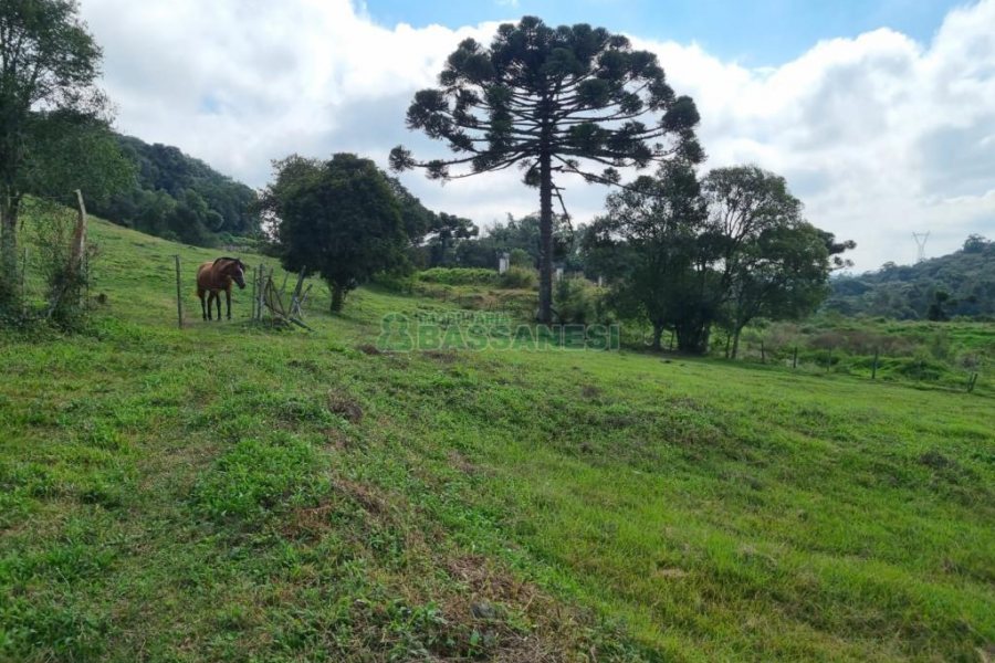 Chácara, no bairro São Giácomo em Caxias do Sul para Comprar