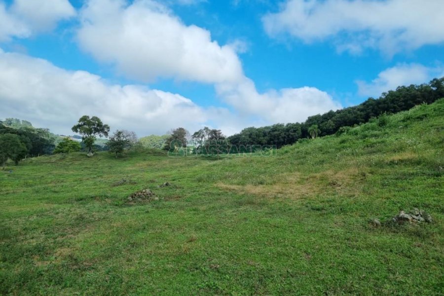 Chácara, no bairro São Giácomo em Caxias do Sul para Comprar