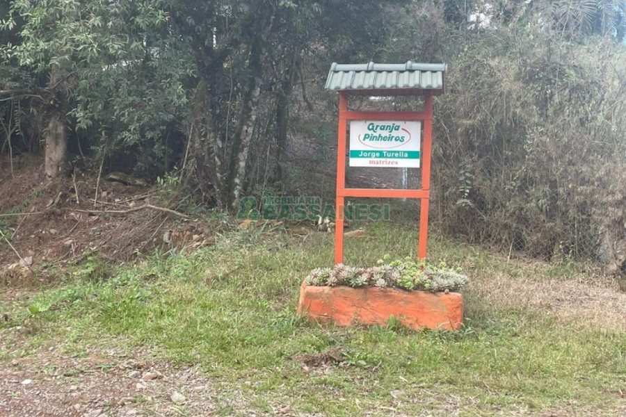 Chácara com 350m², no bairro Fazenda Souza em Caxias do Sul para Comprar