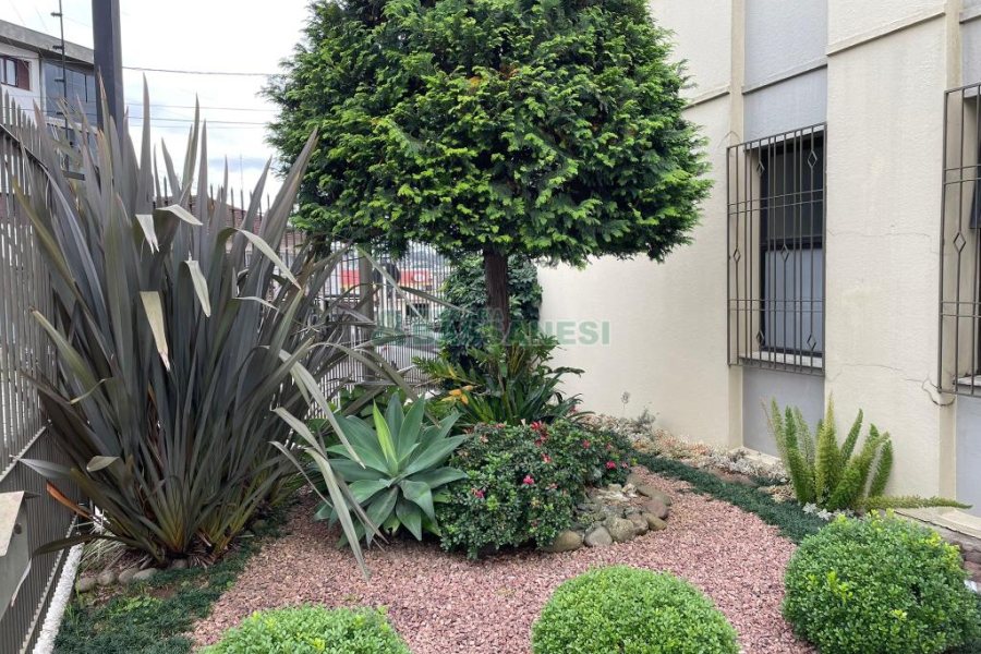 Casa com 157m², 3 dormitórios, 8 vagas, no bairro Pio X em Caxias do Sul para Comprar