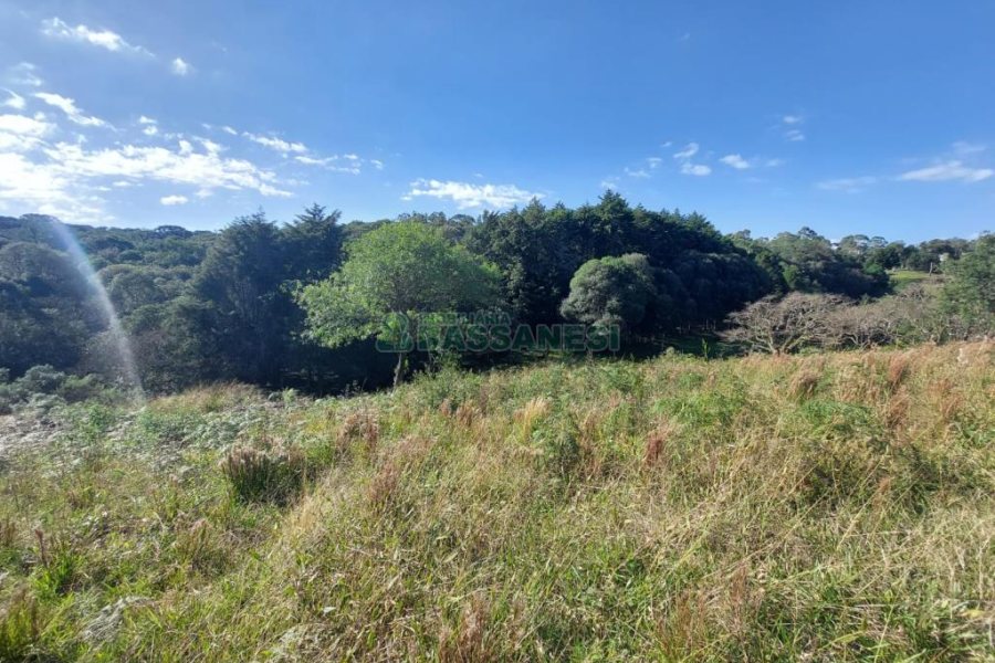Terreno com 10000m², no bairro São Ciro em Caxias do Sul para Comprar