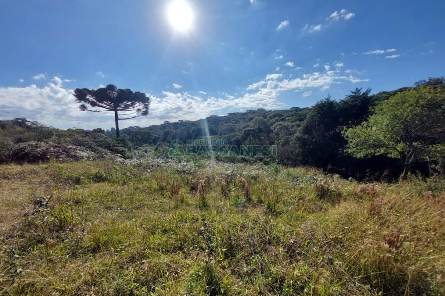 Terreno com 10000m², no bairro São Ciro em Caxias do Sul para Comprar