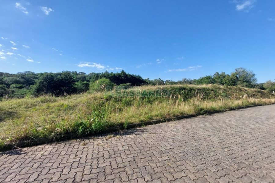 Terreno com 10000m², no bairro São Ciro em Caxias do Sul para Comprar