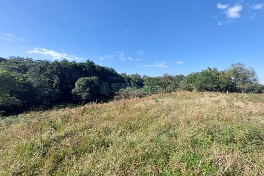 Terreno com 10000m², no bairro São Ciro em Caxias do Sul para Comprar